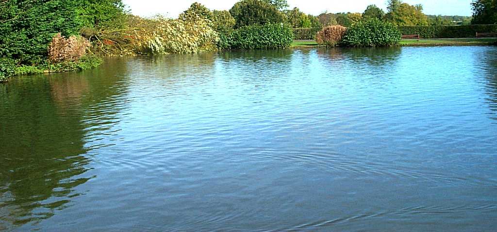 Водоёмы могут быть опасны в любое время года, особенно летом..